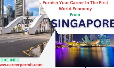 A List Of All Foreign Embassies Address In Singapore: Empowering Singapore Citizens to Acquire International Skill Work Visas