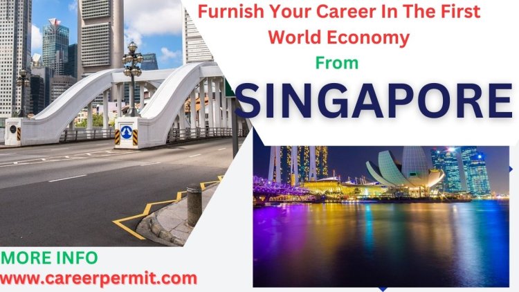 A List Of All Foreign Embassies Address In Singapore: Empowering Singapore Citizens to Acquire International Skill Work Visas